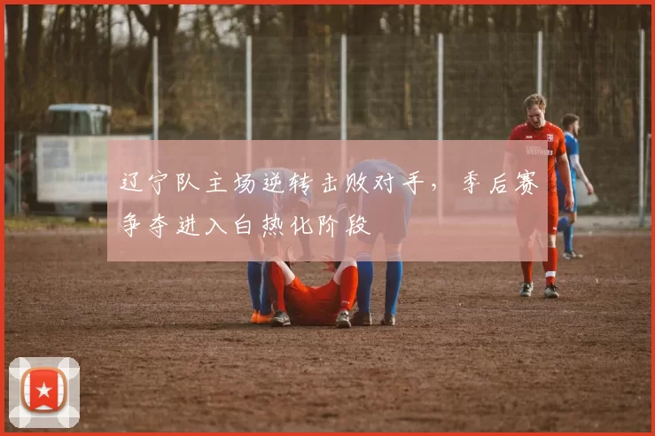 辽宁队主场逆转击败对手,季后赛争夺进入白热化阶段