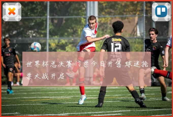 世界杯总决赛门票今日开售 球迷抢票大战开启