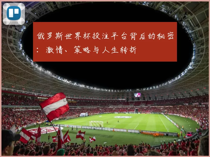 俄罗斯世界杯投注平台背后的秘密：激情、策略与人生转折