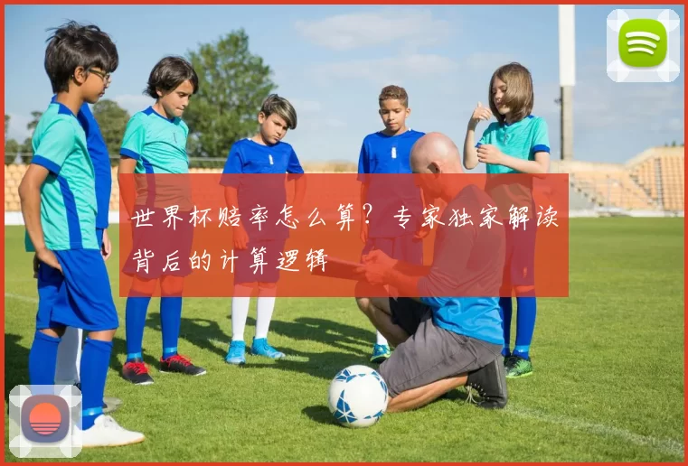 世界杯赔率怎么算?专家独家解读背后的计算逻辑