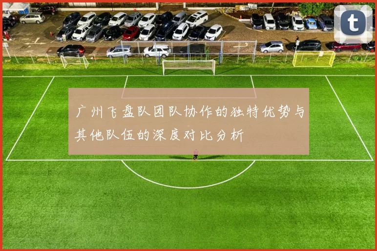 广州飞盘队团队协作的独特优势与其他队伍的深度对比分析