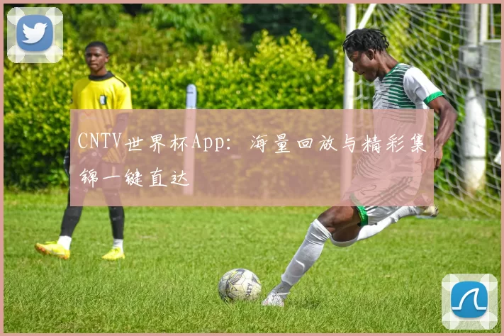 CNTV世界杯App：海量回放与精彩集锦一键直达